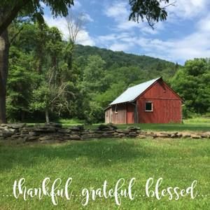 Meet your Posher, Martha